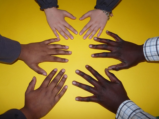 Créer la cohésion sociale mène à l'harmonie dans la différence